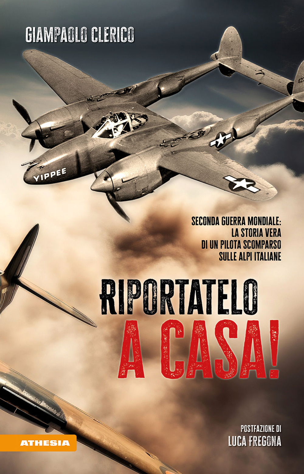 Riportatelo a casa! Seconda guerra mondiale: la storia vera di un pilota scomparso sulle Alpi italiane