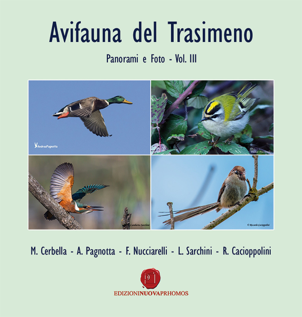 Avifauna del Trasimeno. Panorami e foto. Ediz. illustrata. Vol. 3