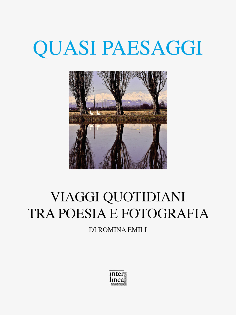 Quasi paesaggi. Viaggi quotidiani tra poesia e fotografia. Ediz. illustrata