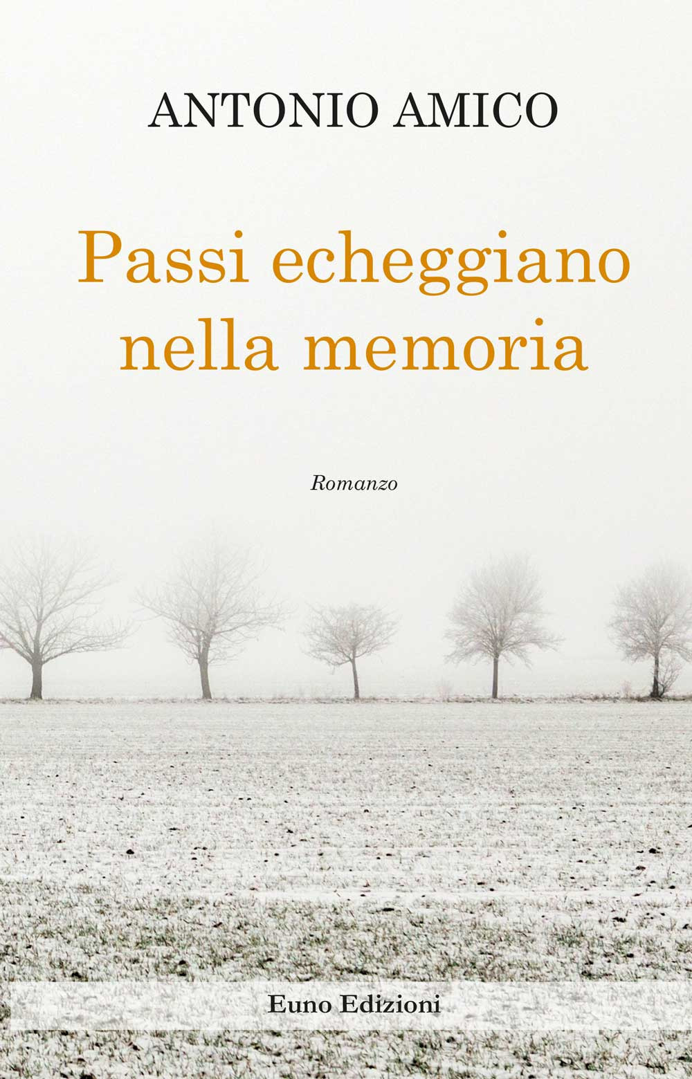 Passi echeggiano nella memoria