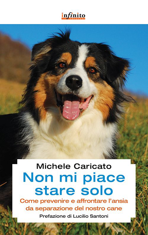 Non mi piace stare solo. Come prevenire e affrontare l'ansia da separazione del nostro cane