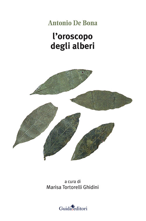 L'oroscopo degli alberi