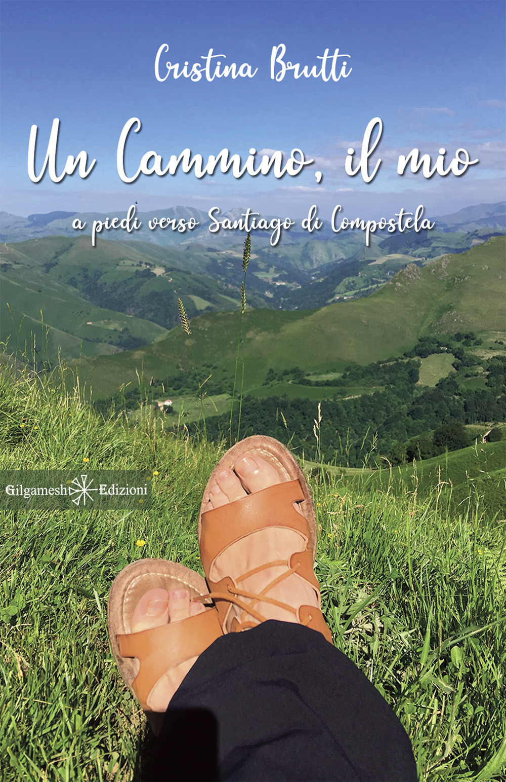 Un cammino, il mio. A piedi verso Santiago di Compostela. Con Libro in brossura