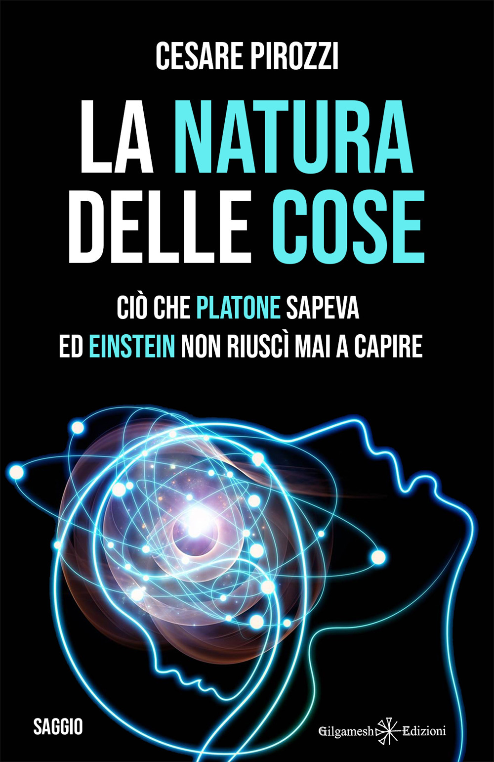 La natura delle cose. Ciò che Platone sapeva ed Einstein non riuscì mai a capire