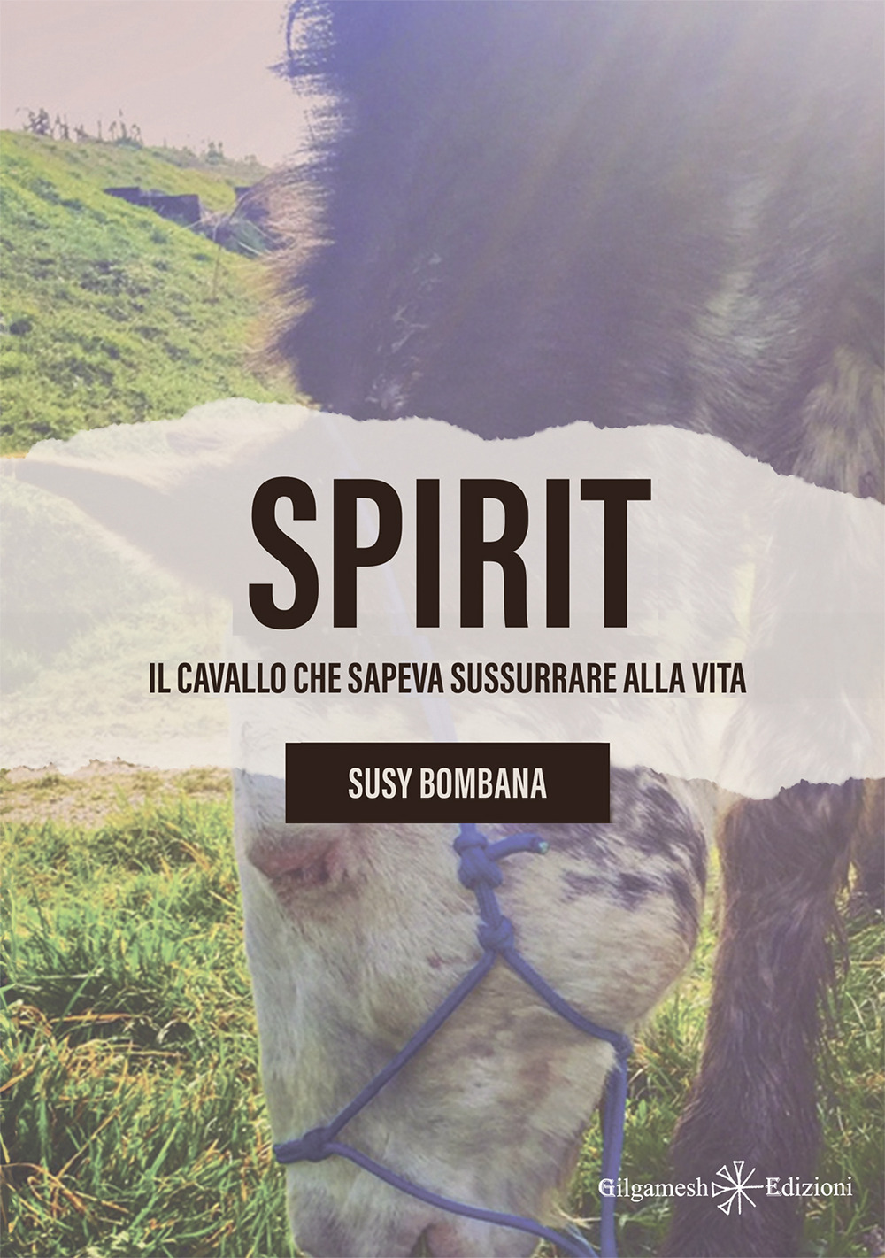 Spirit. Il cavallo che sapeva sussurrare alla vita