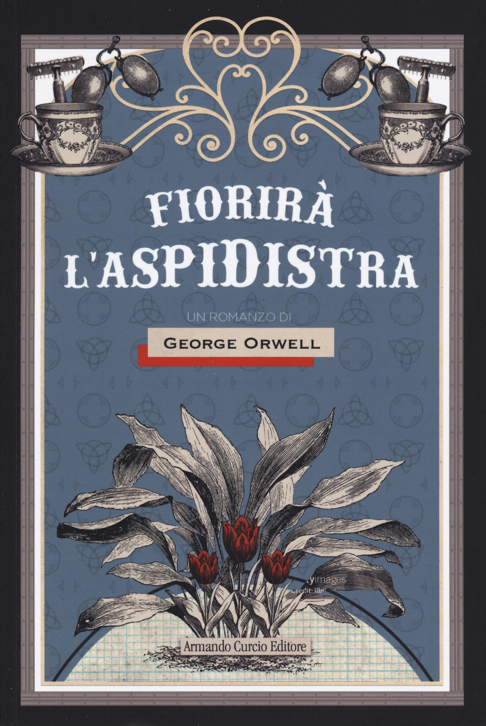 Fiorirà l'aspidistra