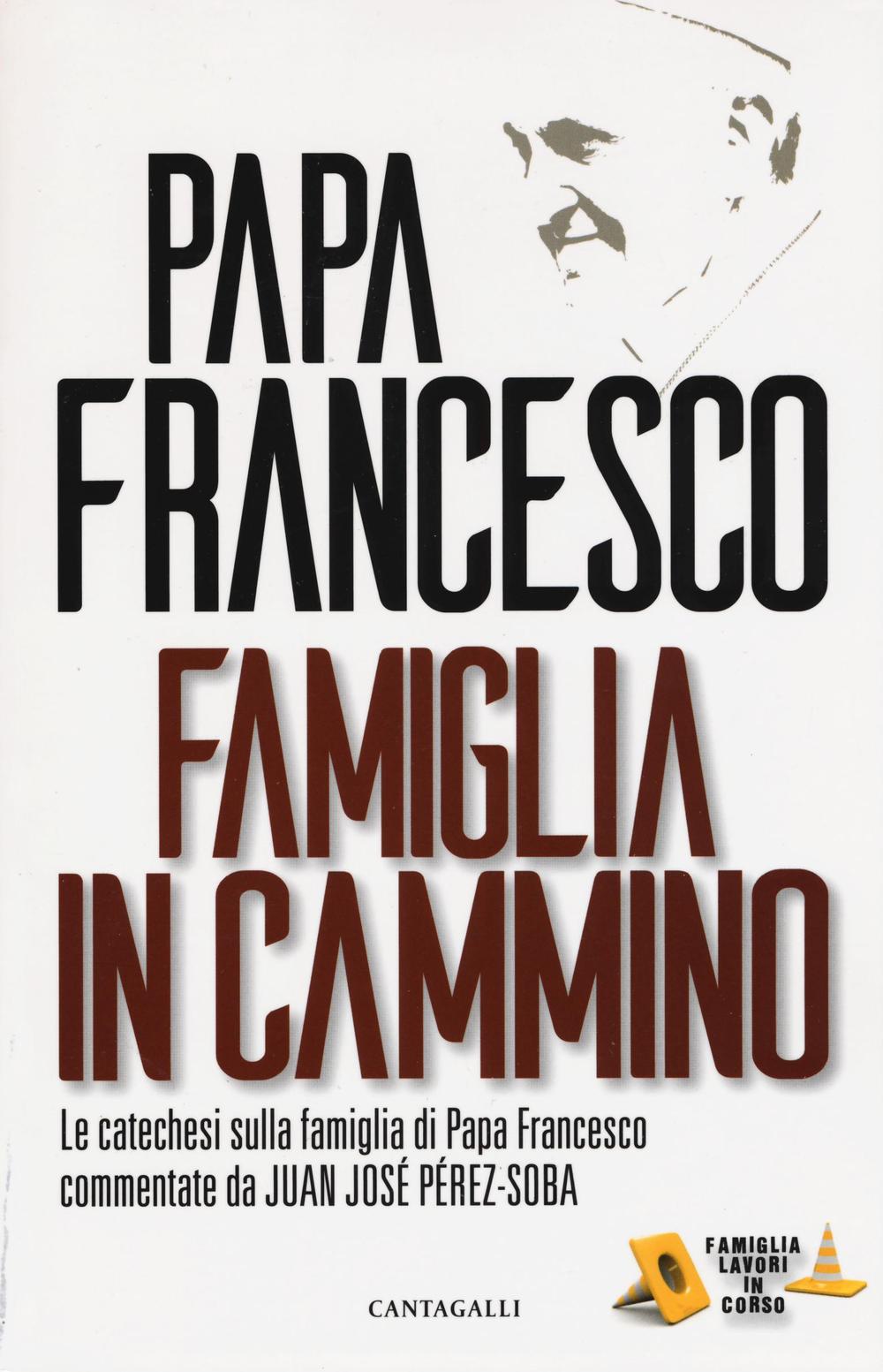 Famiglia in cammino. La catechesi sulla famiglia di papa Francesco