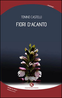 Fiori d'acanto