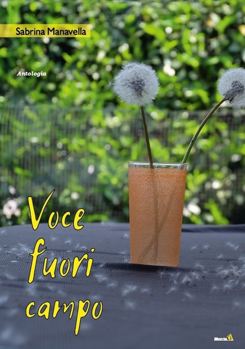 Voce fuori campo