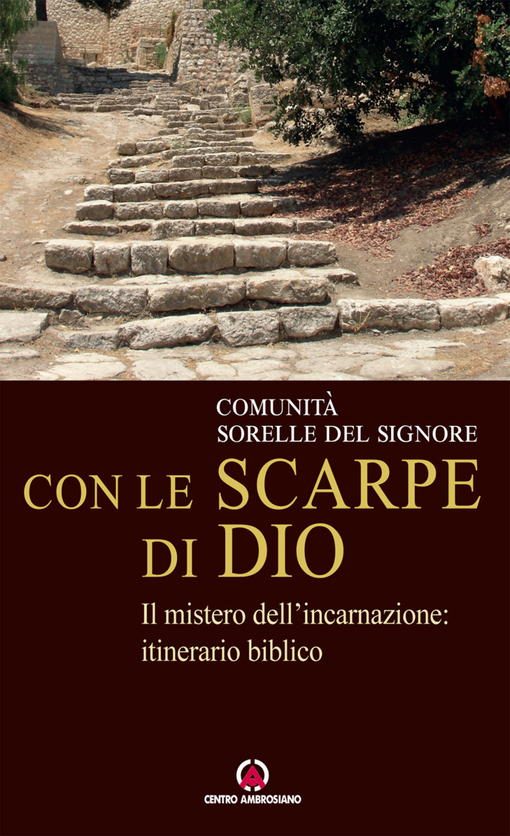 Con le scarpe di Dio. Il mistero dell'incarnazione: itinerario biblico