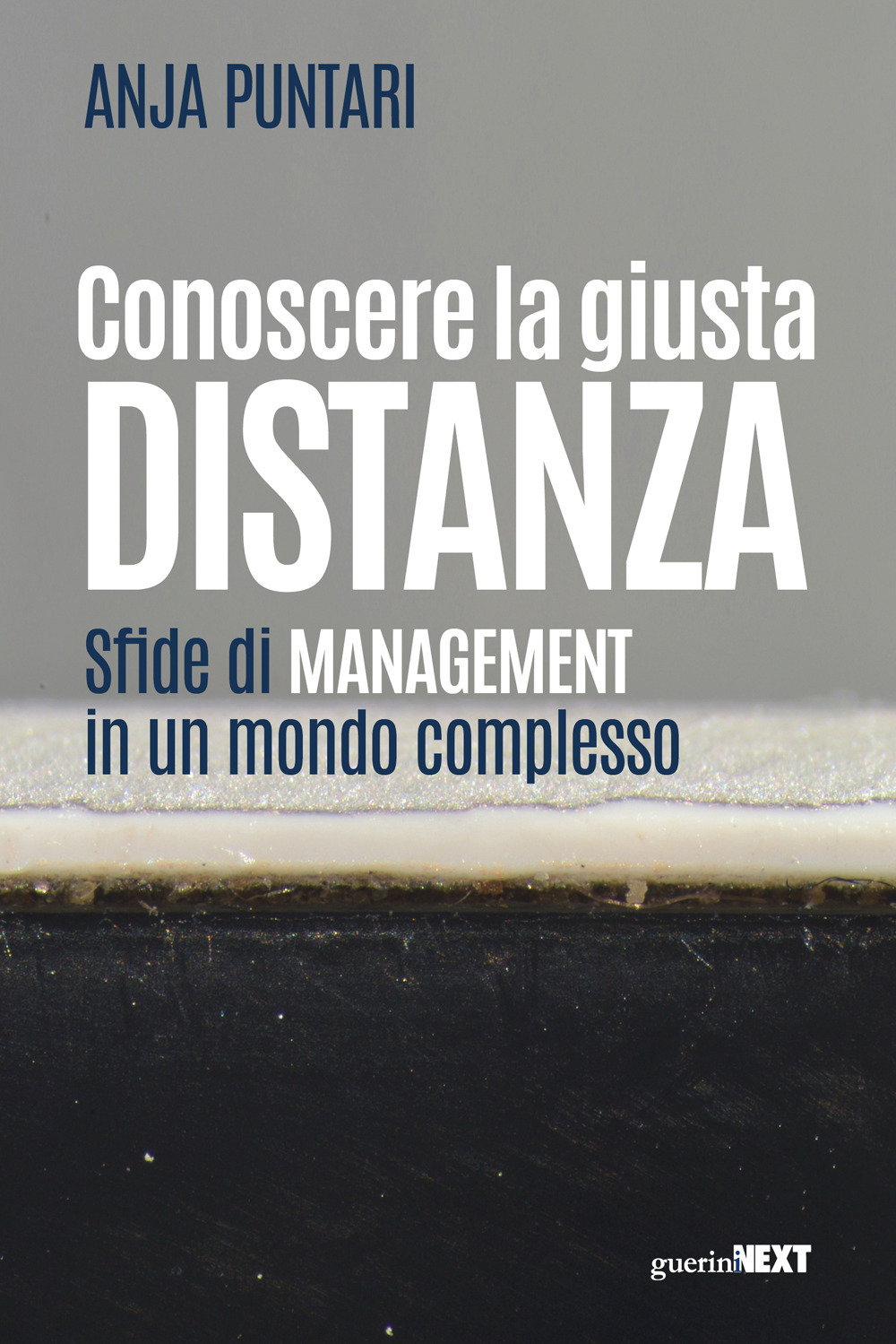 Conoscere la giusta distanza. Sfide di management in un mondo complesso