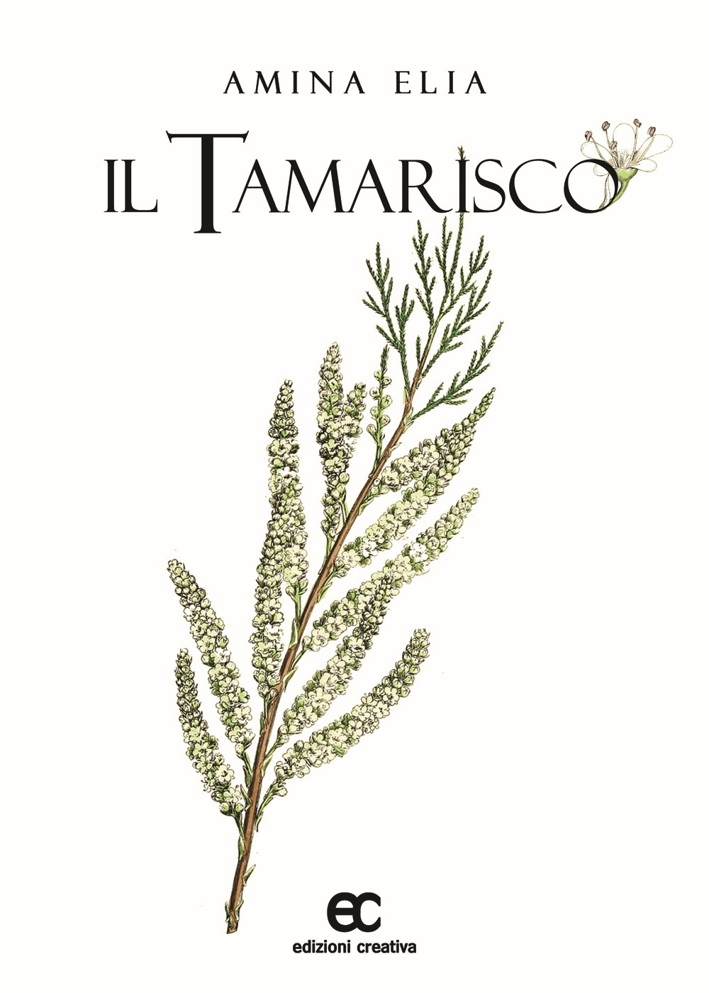 Il tamarisco