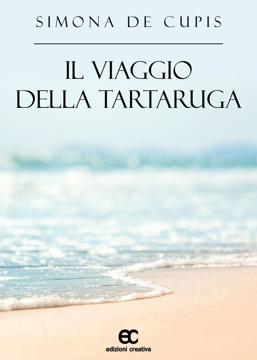 Il viaggio della tartaruga