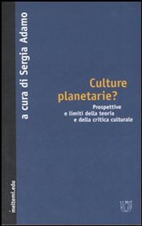 Culture planetarie? Prospettive e limiti della teoria e della critica culturale