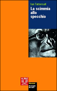 La scimmia allo specchio