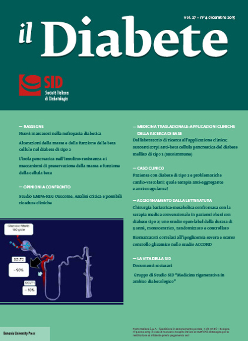 Il diabete. Vol. 27/4