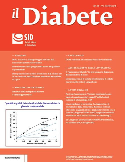 Il diabete (2016). Vol. 28