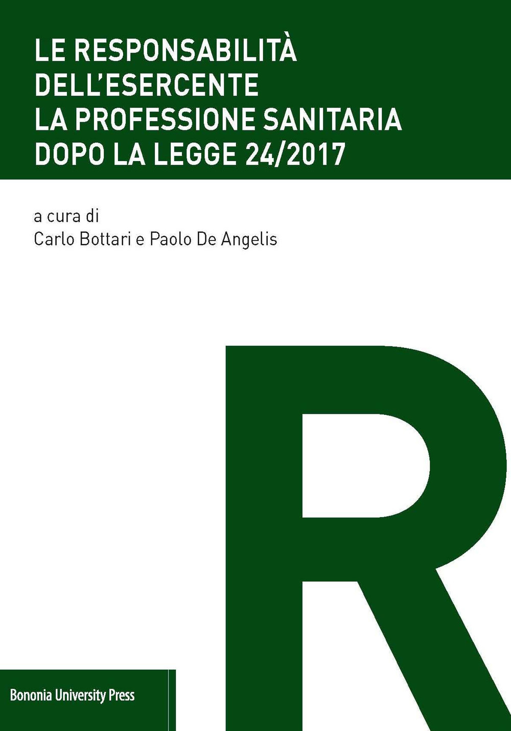 Le responsabilità dell'esercente. La professione sanitaria dopo la legge 24/2017