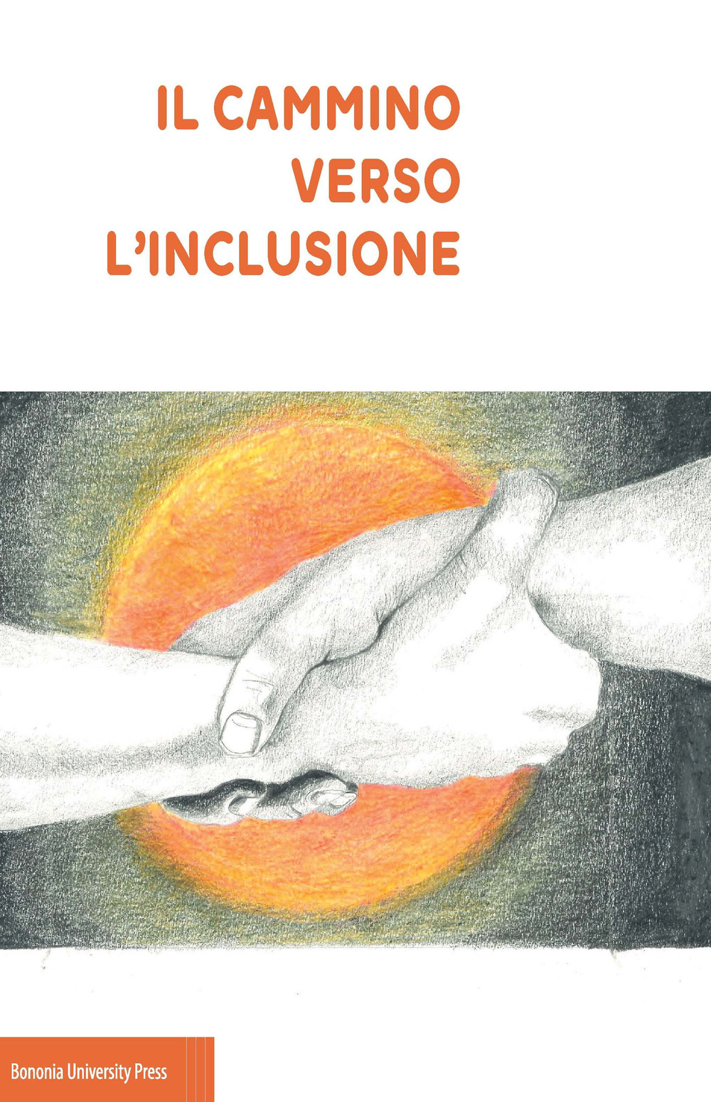 Il cammino verso l'inclusione