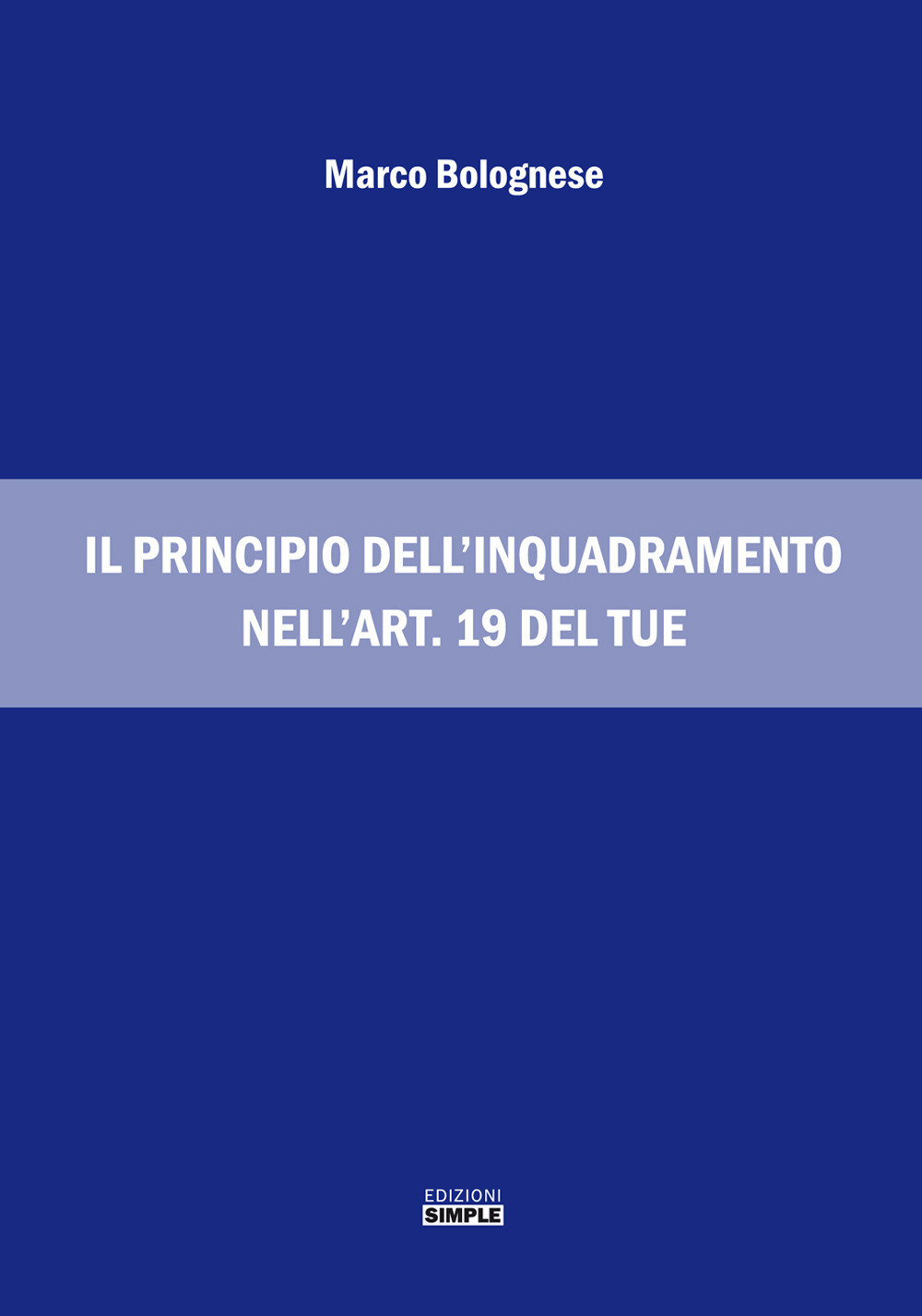 Il principio dell'inquadramento nell'art. 19 del TUE