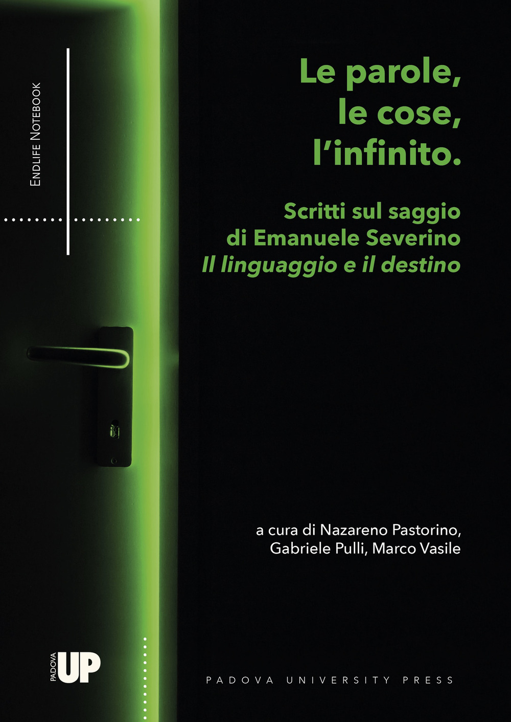 Le parole, le cose, l'infinito. Scritti sul saggio di Emanuele Severino «Il linguaggio e il destino»