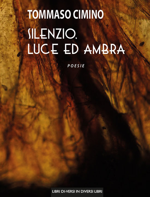 Silenzio, luce ed ambra