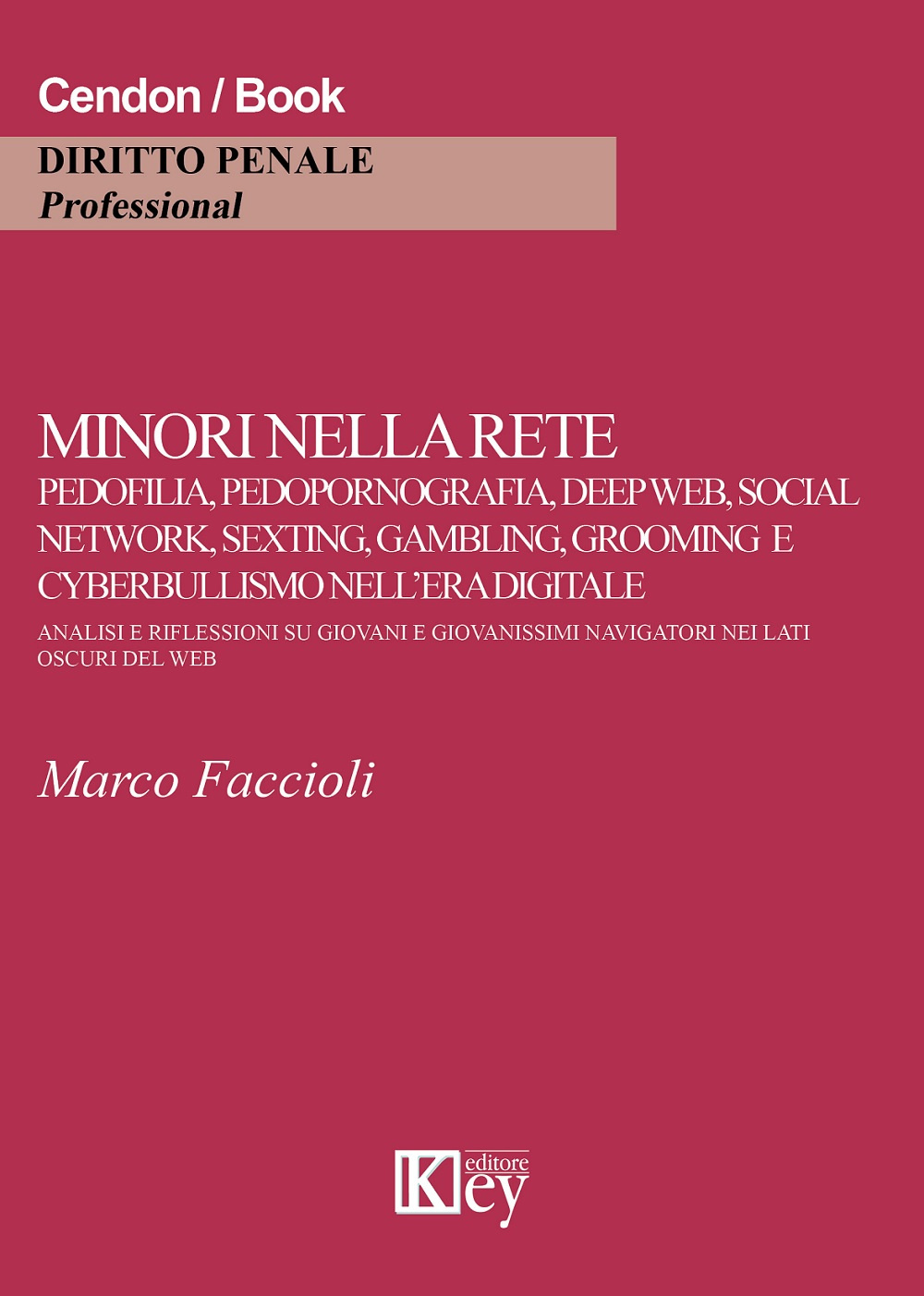 Minori nella rete. Pedofilia, pedopornografia, deep web, social network, sexting, gambling, grooming e cyberbullismo nell'era digitale