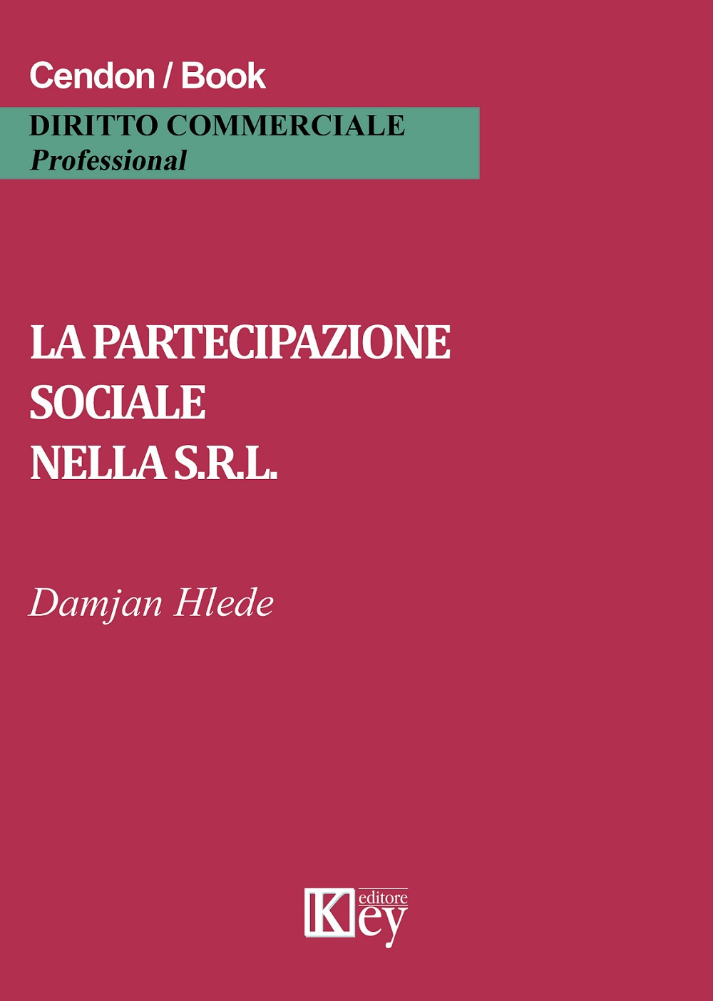 La partecipazione sociale nella s.r.l.