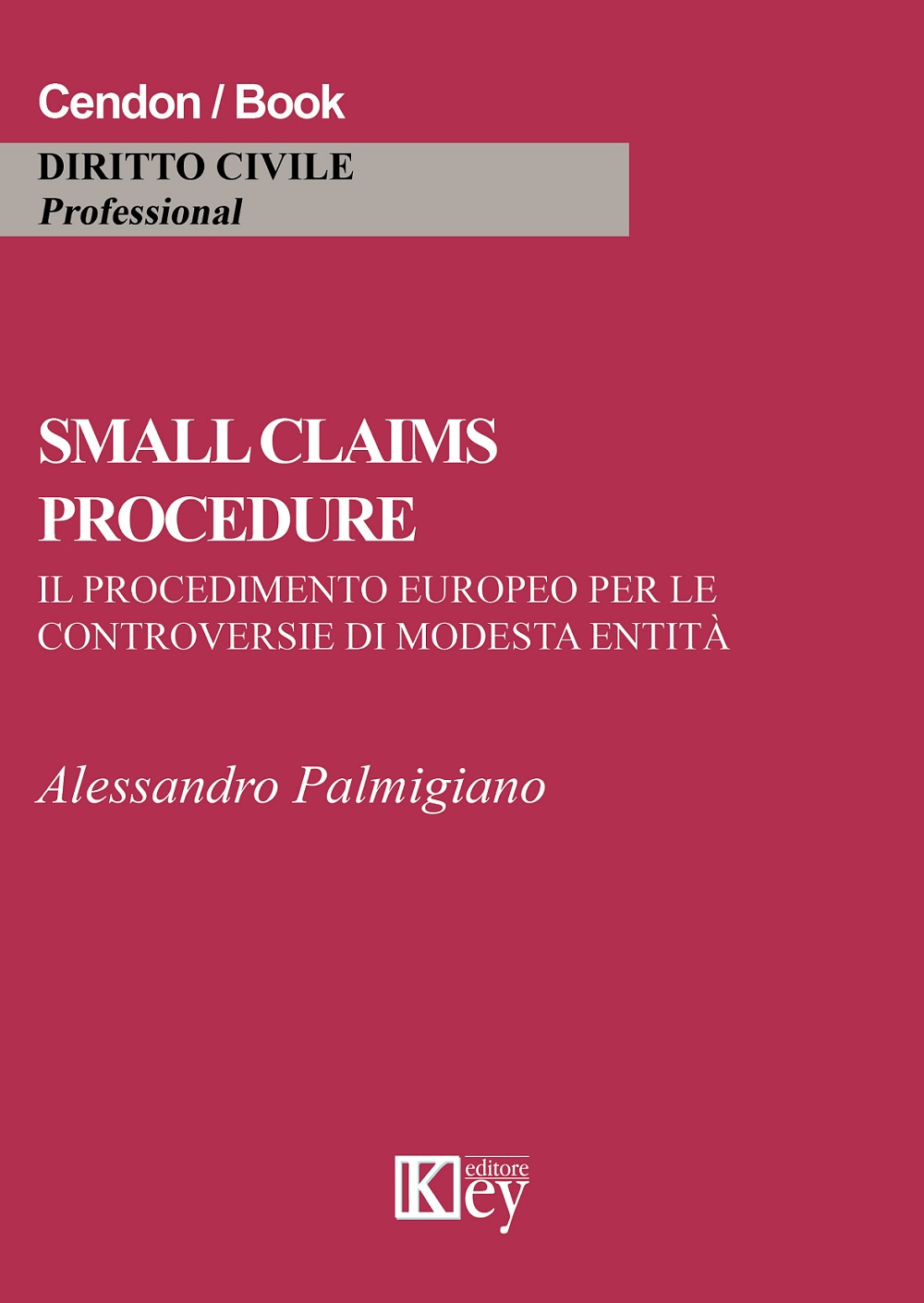 Small claims procedure. Il procedimento europeo per le controversie di modesta entità