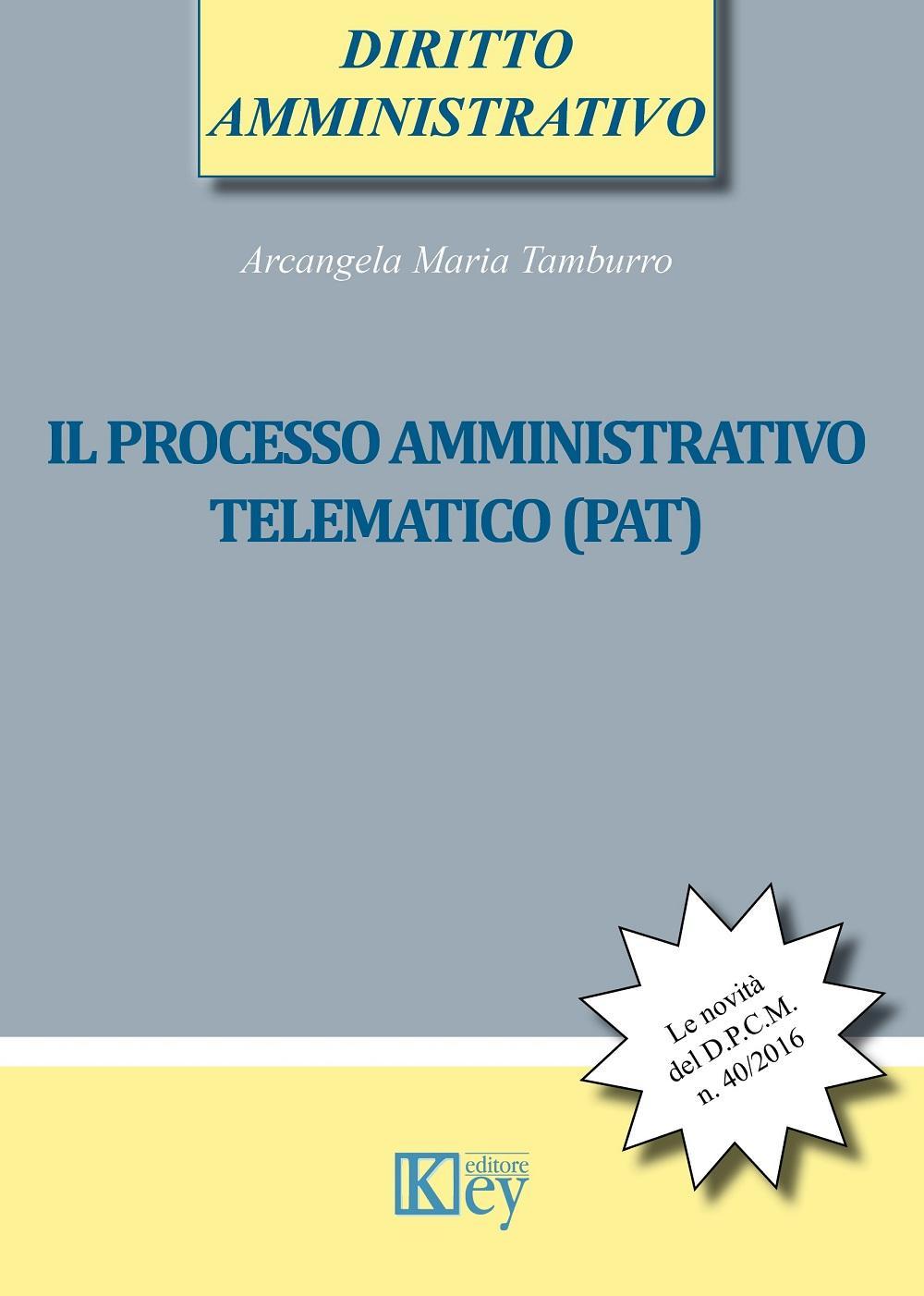 Il processo amministrativo telematico (PAT)