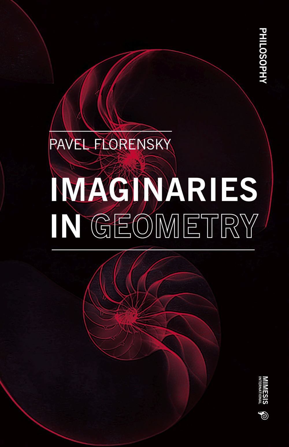 Imaginaries in geometry