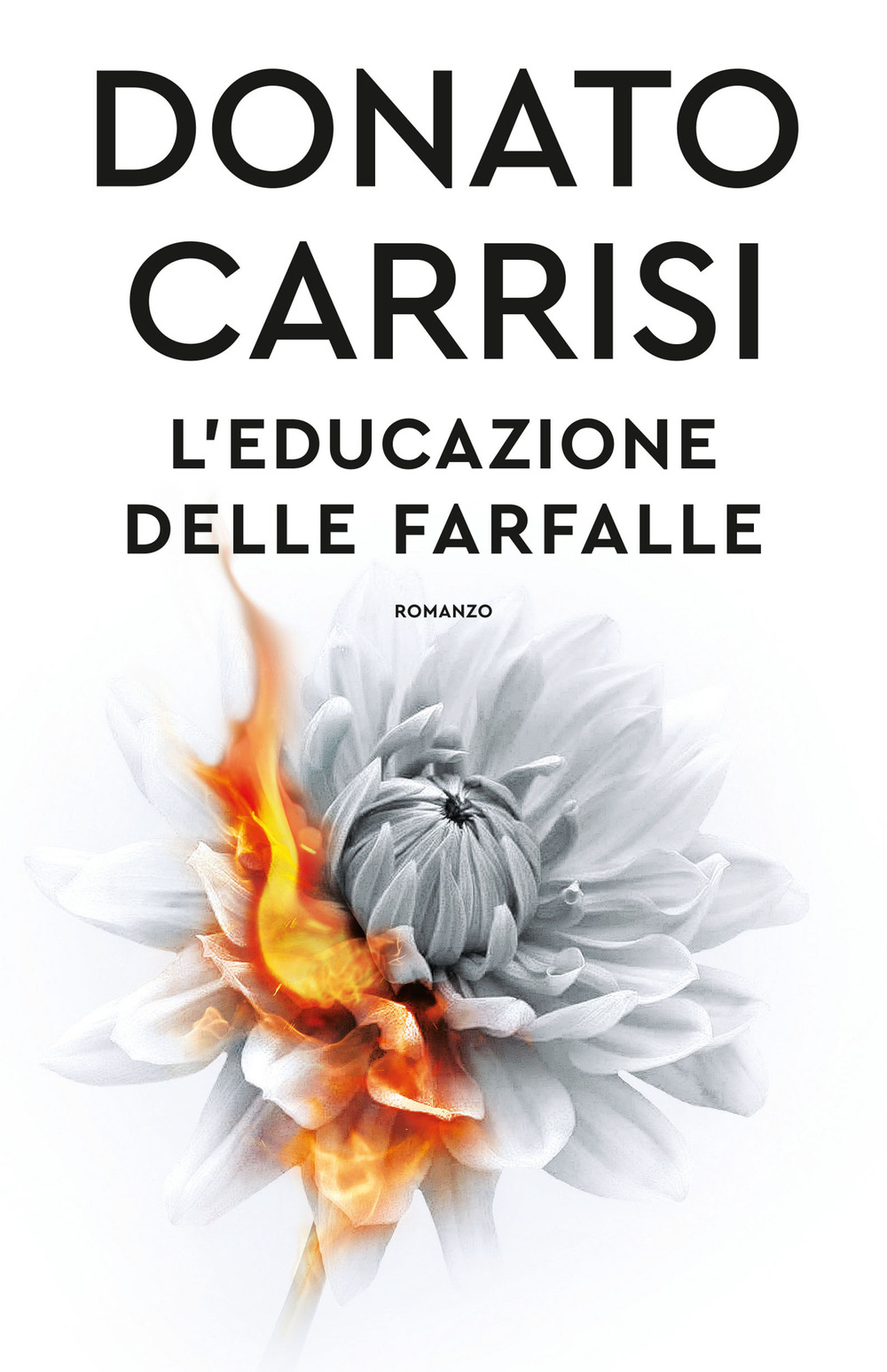 L'educazione delle farfalle