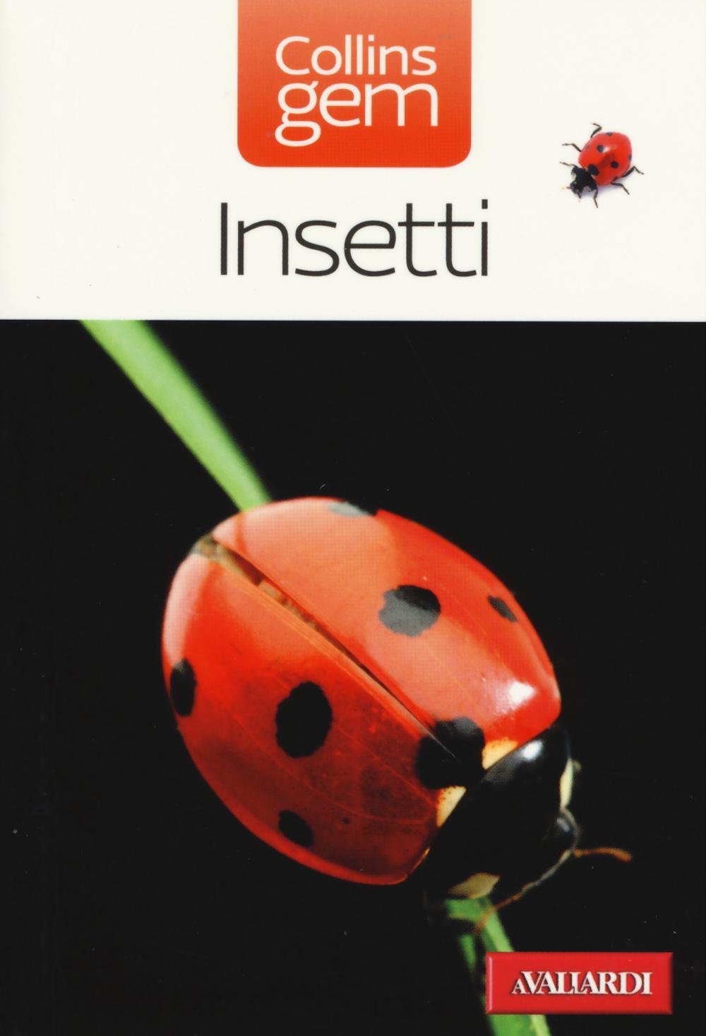 Insetti