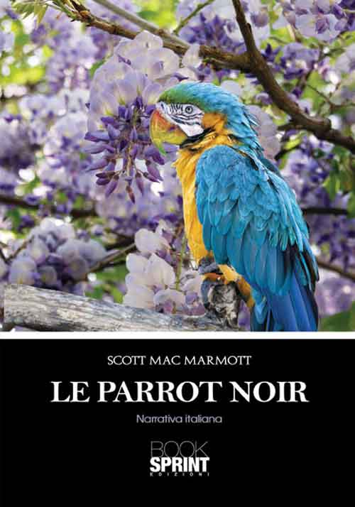 Le Parrot noir