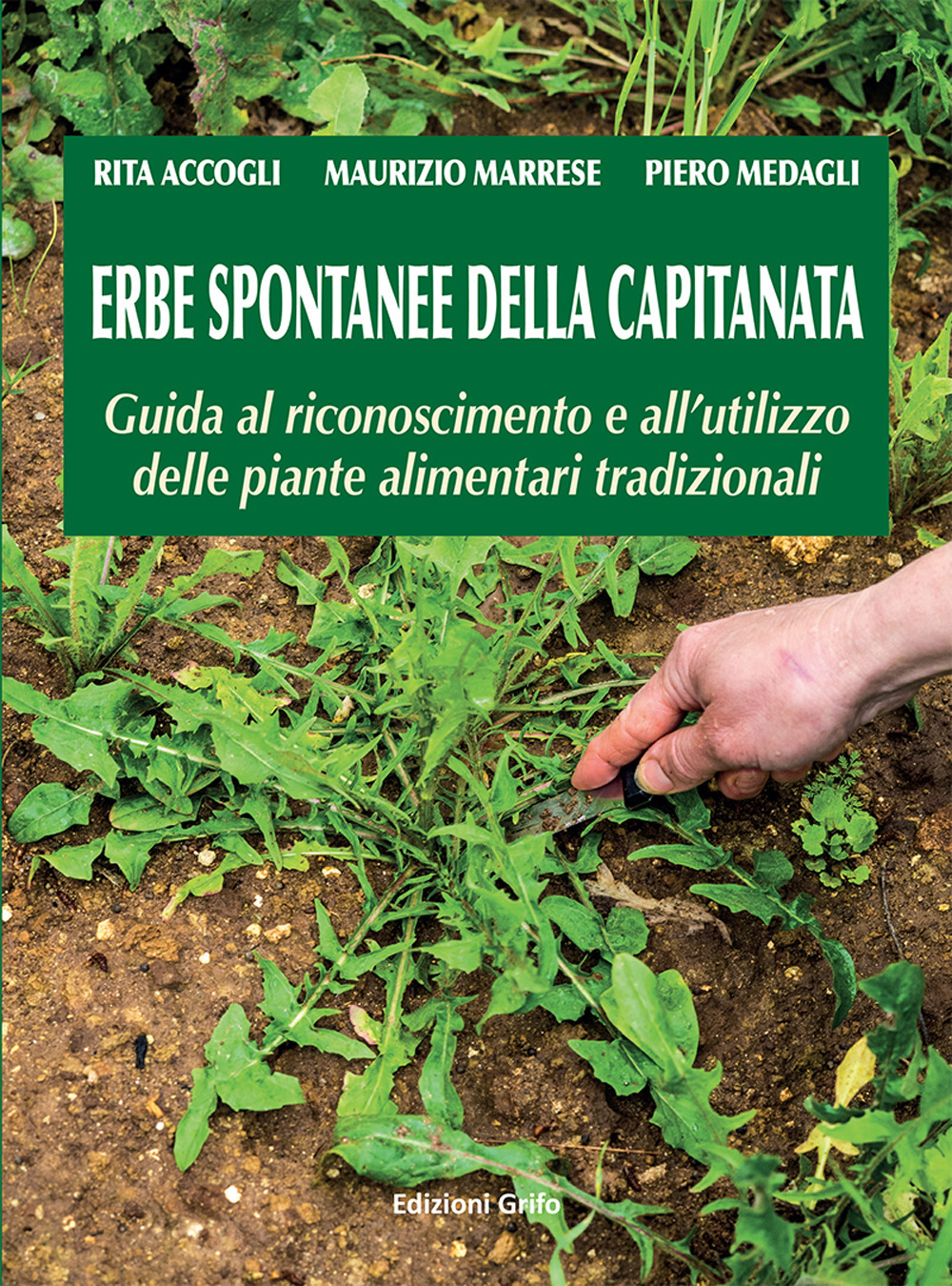 Erbe spontanee della capitanata. Guida al riconoscimento e all'utilizzo delle piante alimentari tradizionali