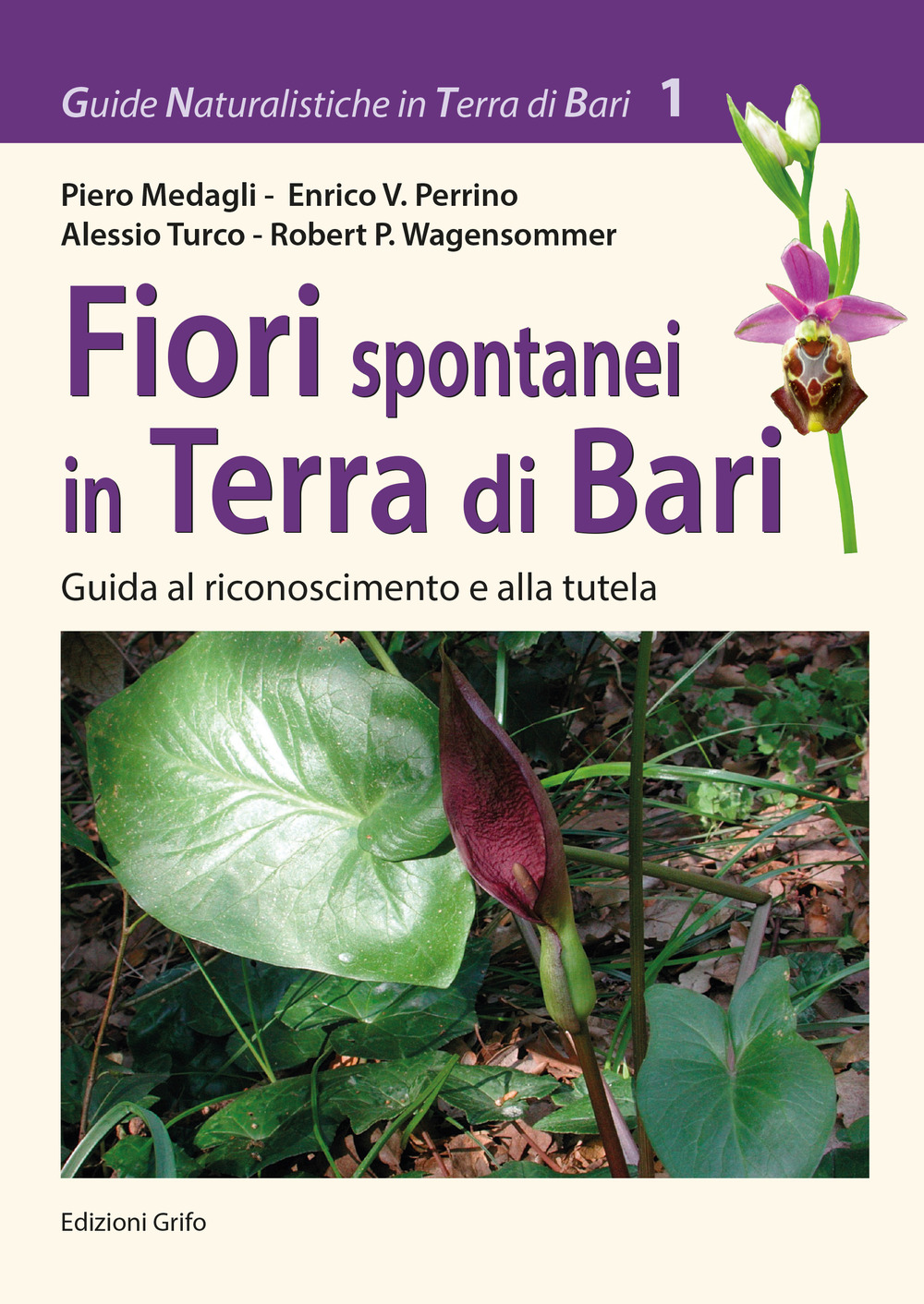 Fiori spontanei in Terra di Bari. Guida al riconoscimento e alla tutela