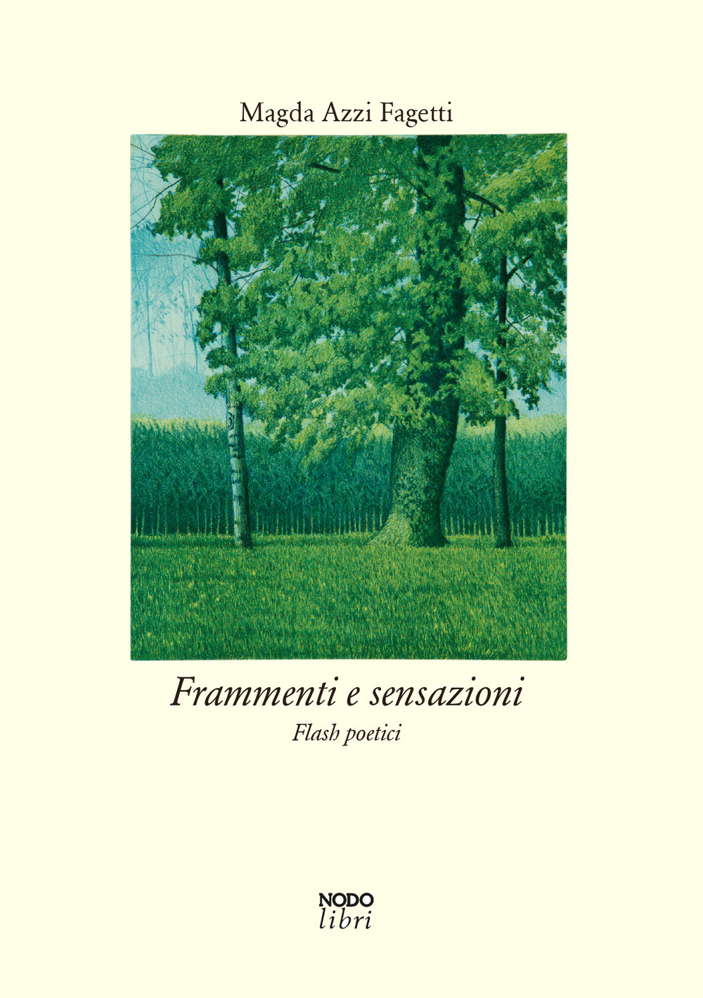 Frammenti e sensazioni. Flash poetici