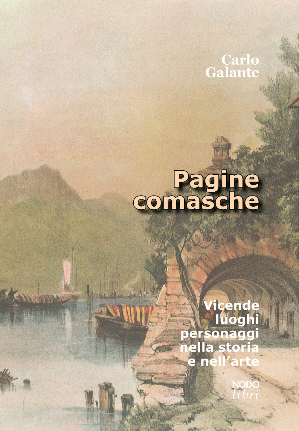 Pagine comasche. Vicende, luoghi, personaggi nella storia e nell'arte