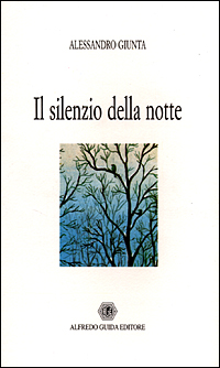 Il silenzio della notte