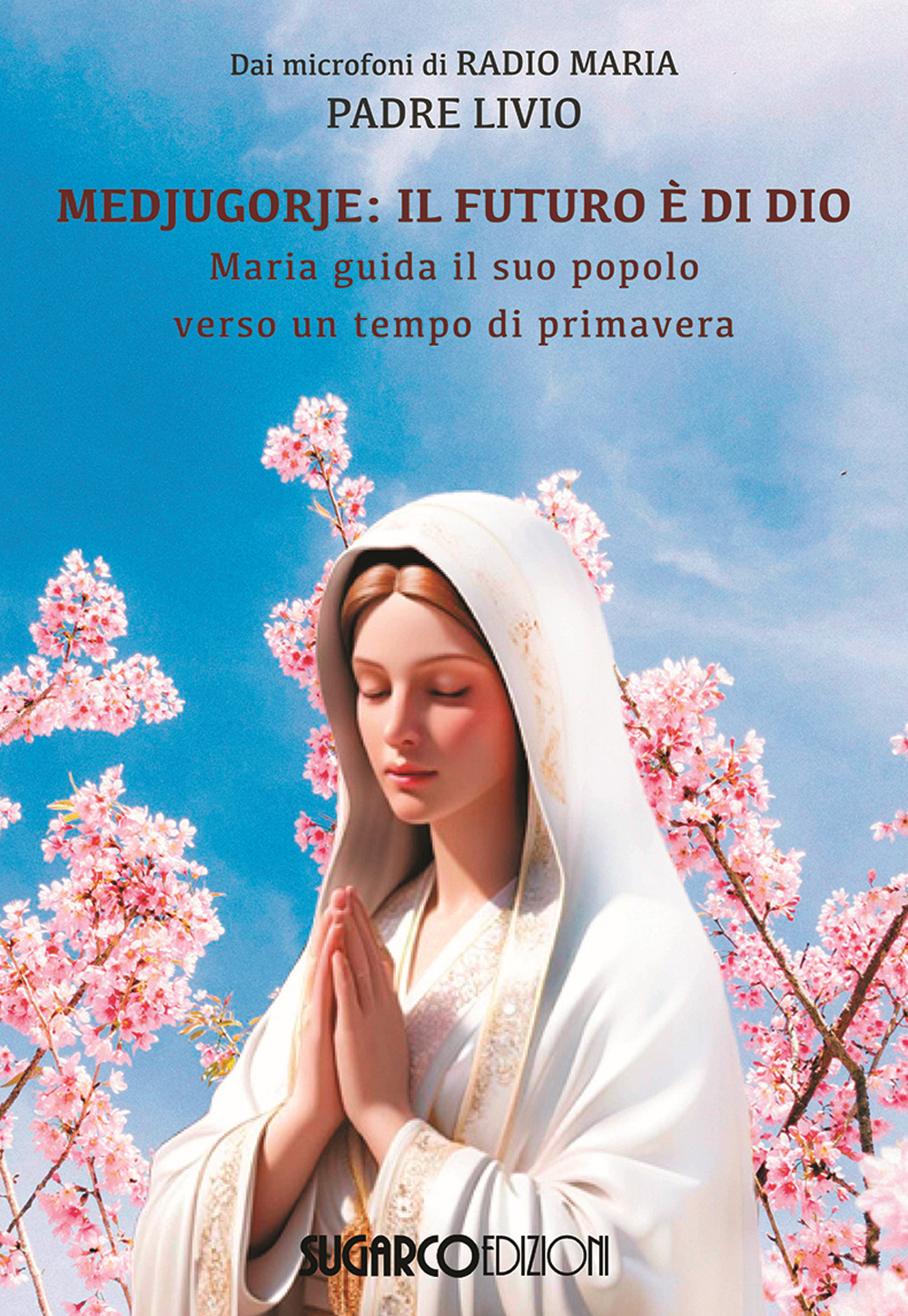 Medjugorje: il futuro è di Dio