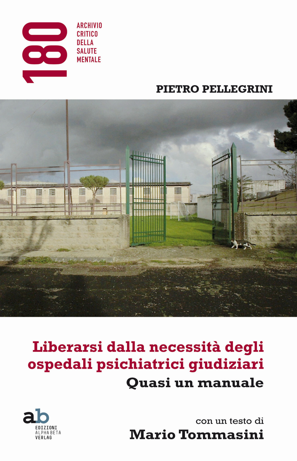 Liberarsi dalla necessità degli ospedali psichiatrici giudiziari. Quasi un manuale