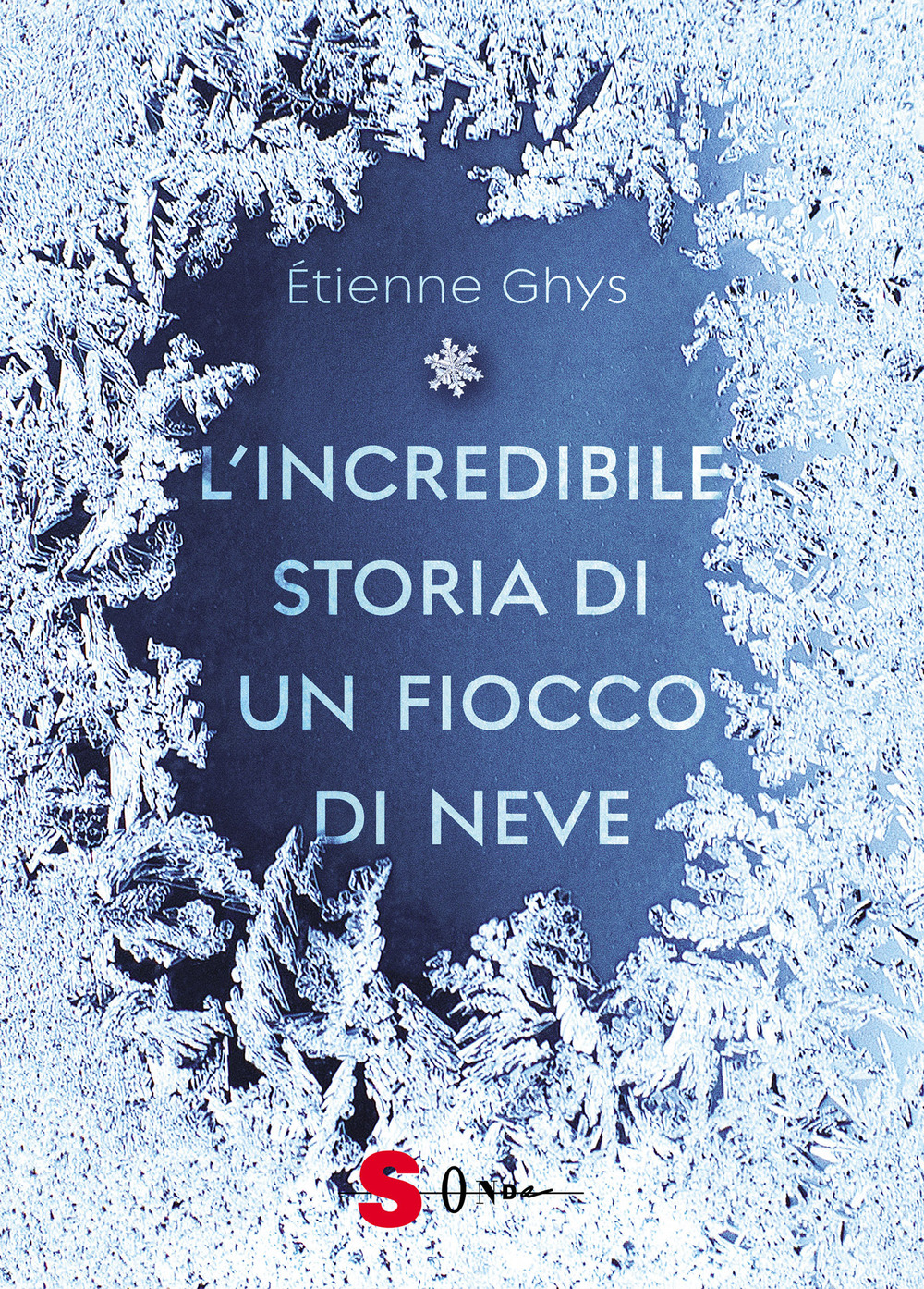 L'incredibile storia di un fiocco di neve. Ediz. a colori