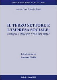 Il terzo settore e l'impresa sociale. Sostegni e sfide per il welfare state?