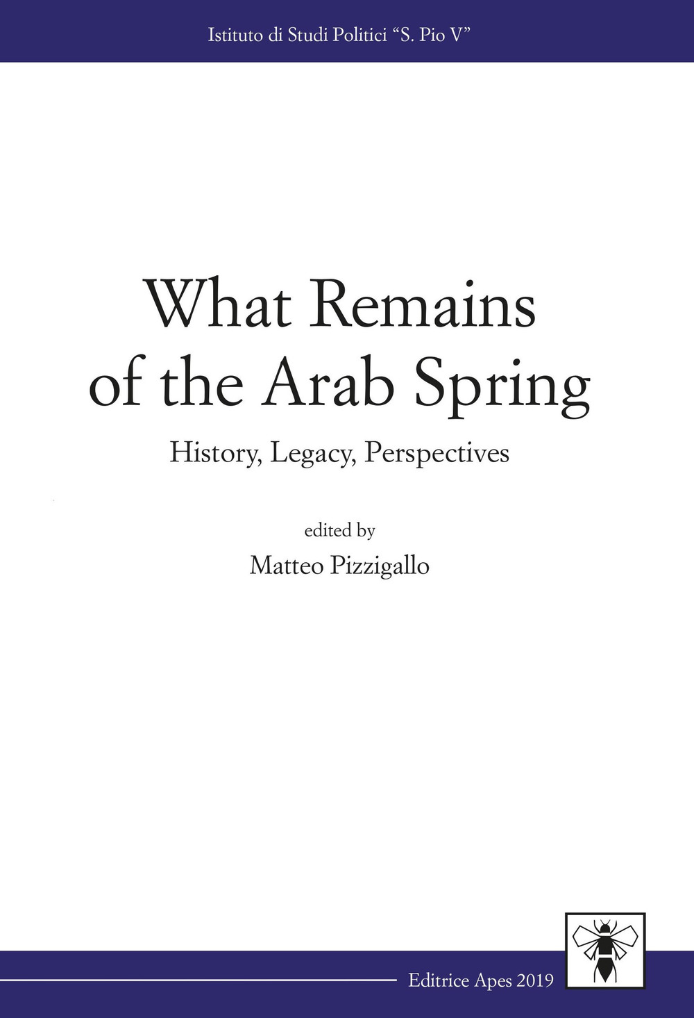 What remains of the Arab Spring. History, legacy, perspectives