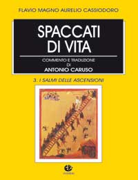 Spaccati di vita. Vol. 3: I salmi delle ascensioni