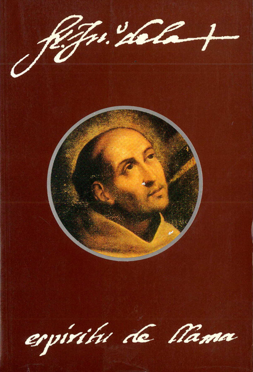 Juan de la Cruz, espiritu de llama. Estudios con ocasión del cuarto centenario de su muerte (1591-1991)