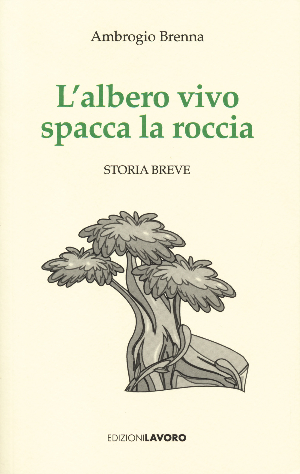 L'albero vivo spacca la roccia