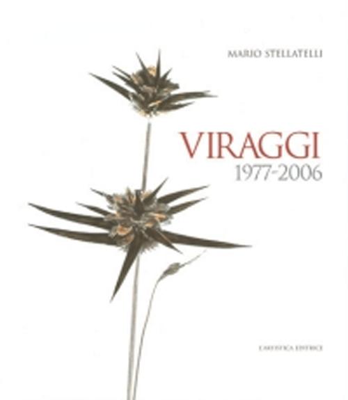 Viraggi 1997-2006. Ediz. illustrata