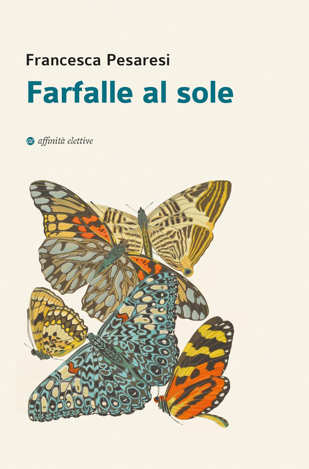 Farfalle al sole