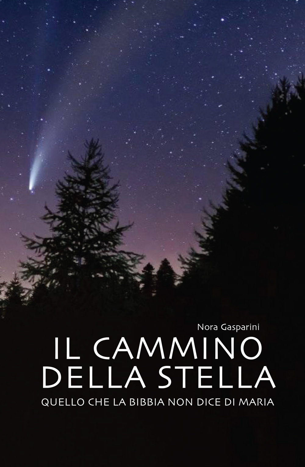 Il cammino della stella. Quello che la Bibbia non dice di Maria